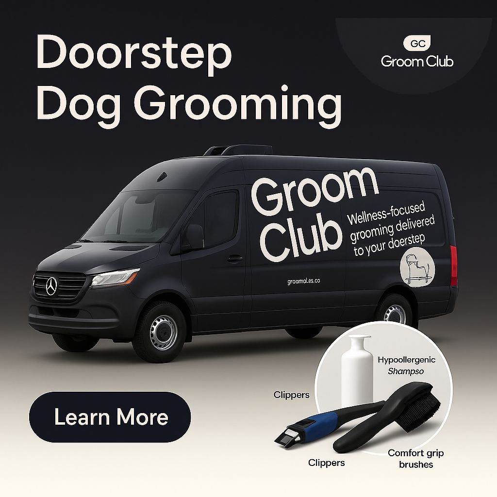 Lifestyle — AI-generated ad by Omneky