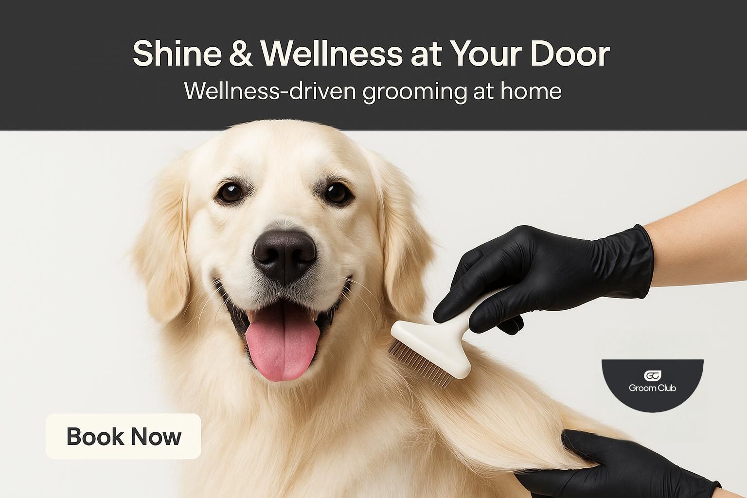 Lifestyle — AI-generated ad by Omneky